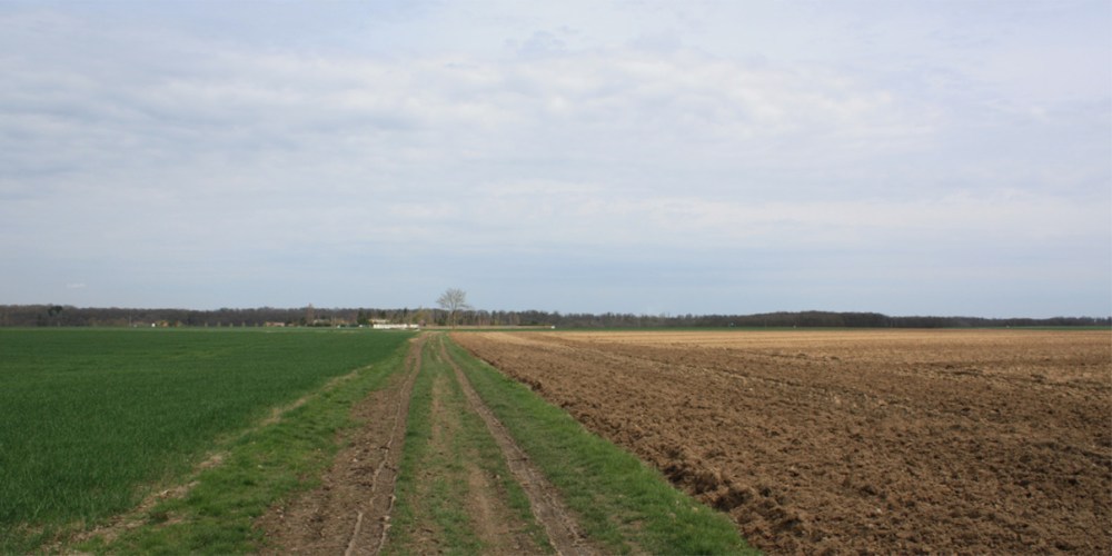 1 AT7_Habiter la campagne_1280 x 1280_Marrot