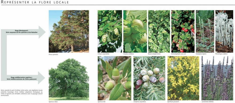 3 Jardin Privé Roussillon_1280 x 1280_Marrot