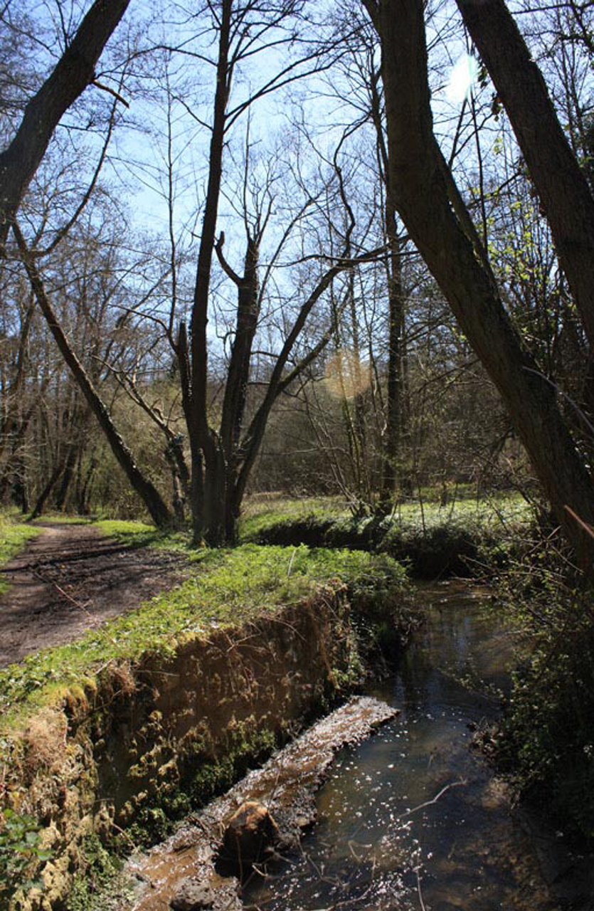 4 AT7_Habiter la campagne_1280 x 1280_Marrot