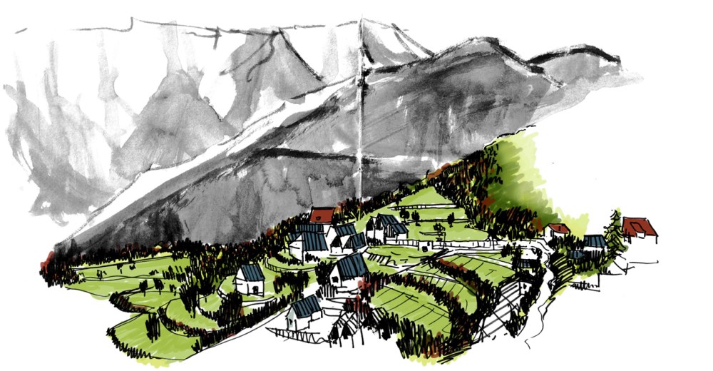 7 Dessin_1280 x 1280_Marrot